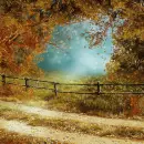 Autumn/Fall ~ Background ~ fg