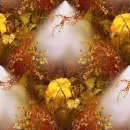 Autumn/Fall ~ Background