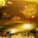 Autumn/Fall ~ Background ~ fg