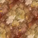 Autumn/Fall ~ Background