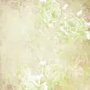 Autumn/Fall ~ Background
