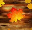 Autumn/Fall ~ Background