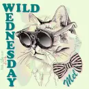 Mel - Wednesday- Wild - Bow Tie - Cat