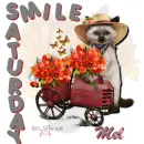 Mel - Saturday - Smile - Cat With Flowers 