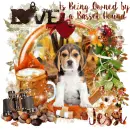 Love is Being Owned by a Basset Hound ~ Jessi ~ fg