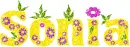 Sonia - flower