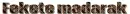 glitter text