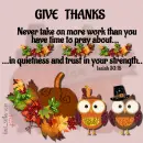 Give Thanks - Owls - Leaves - Pumpkins 