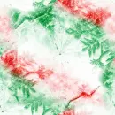 Snowy Christmas Background 
