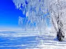 Winter ~ Background