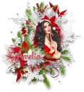 Christmas Sugar