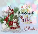 Charles - The Most Wonderful Time - Snowman - Rabbit