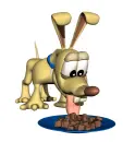 hungry dog