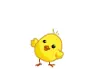 chick jumping