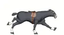 running horse