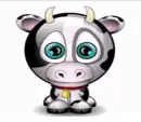 Smiley cow