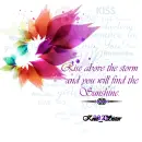 Rise Above - Storm - Flowers - Sunshine