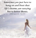Lifes Storms - by Robbie
