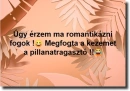 humor