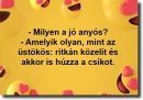 humor