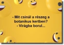 humor