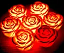 TheRedGoldRose