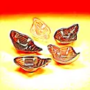 FiveLittleRedGoldSeashells