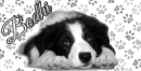 Bodhi
