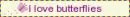 I love butterfliies 