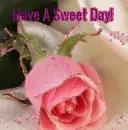 Sweet Day