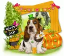 St Patrick's Day