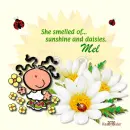 Mel - Daisies - Sunshine - Ladybug
