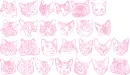 heads of cats