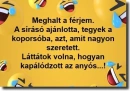 Humor