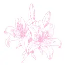 lilies