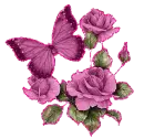 Purple Flowers