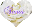 Sonia - glitter