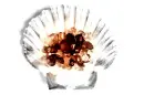 Jewels Of Garnet Is Something In January