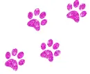 paw prints