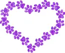 heart of paw prints