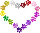 heart of paw prints