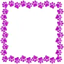 frame of paw prints