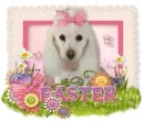 Happy Easter