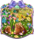 Spring blooms & bunnies