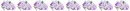 flowers divider