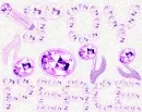 Pencil Revolution In Amethyst