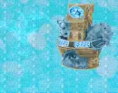 Sail Away With Ark Turquoise