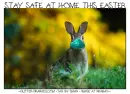 STAY SAFE AT HOME THIS EASTER
