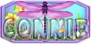Connie Dragonfly