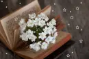 Book of flowers